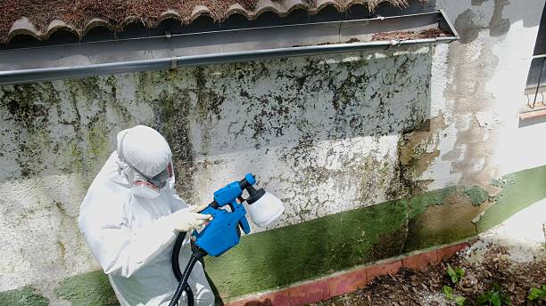 Top rated local Crawl Space Mold Remediation specialists in Oregon City, OR